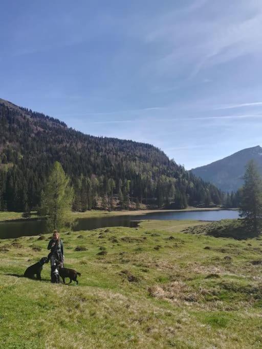 WegscheidUrlaub Mit Hund Im Salzburger Landアパートメント エクステリア 写真
